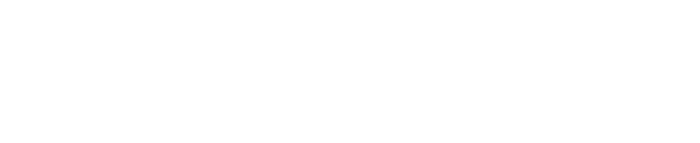 logo-dolphin-island